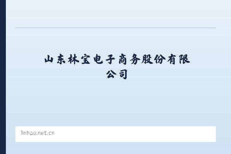 山东林宝电子商务股份有限公司 列表图